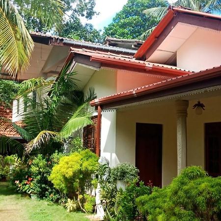 Wild View Stay Habarana Ngoại thất bức ảnh