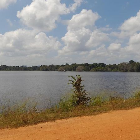 Wild View Stay Habarana Ngoại thất bức ảnh