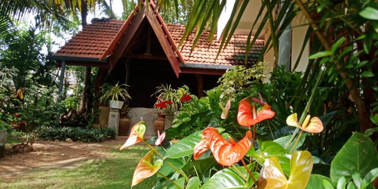 Wild View Stay Habarana Ngoại thất bức ảnh