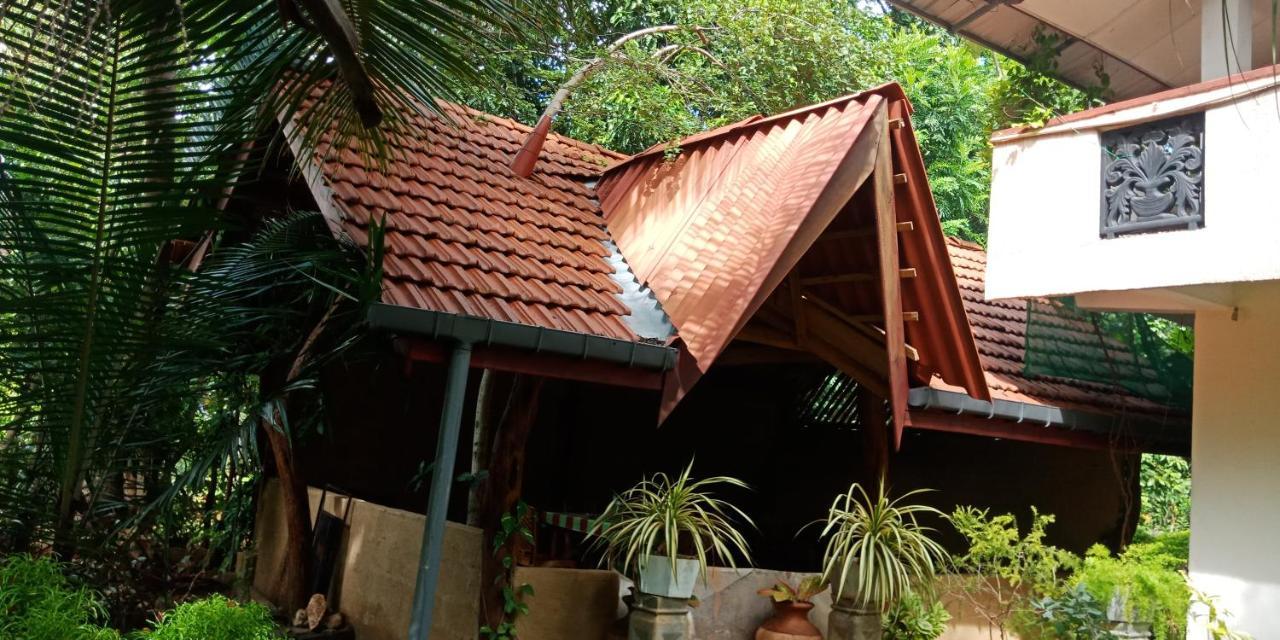 Wild View Stay Habarana Ngoại thất bức ảnh