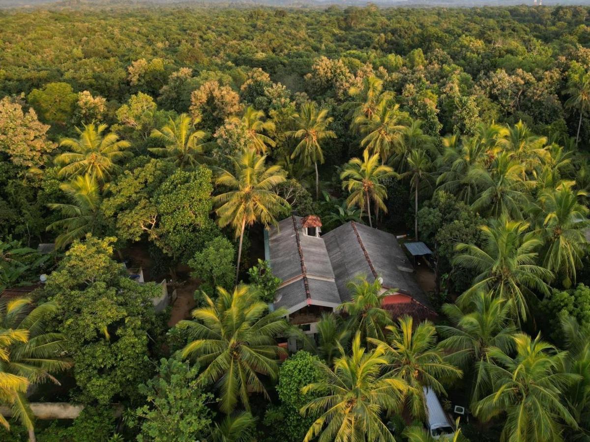 Wild View Stay Habarana Ngoại thất bức ảnh