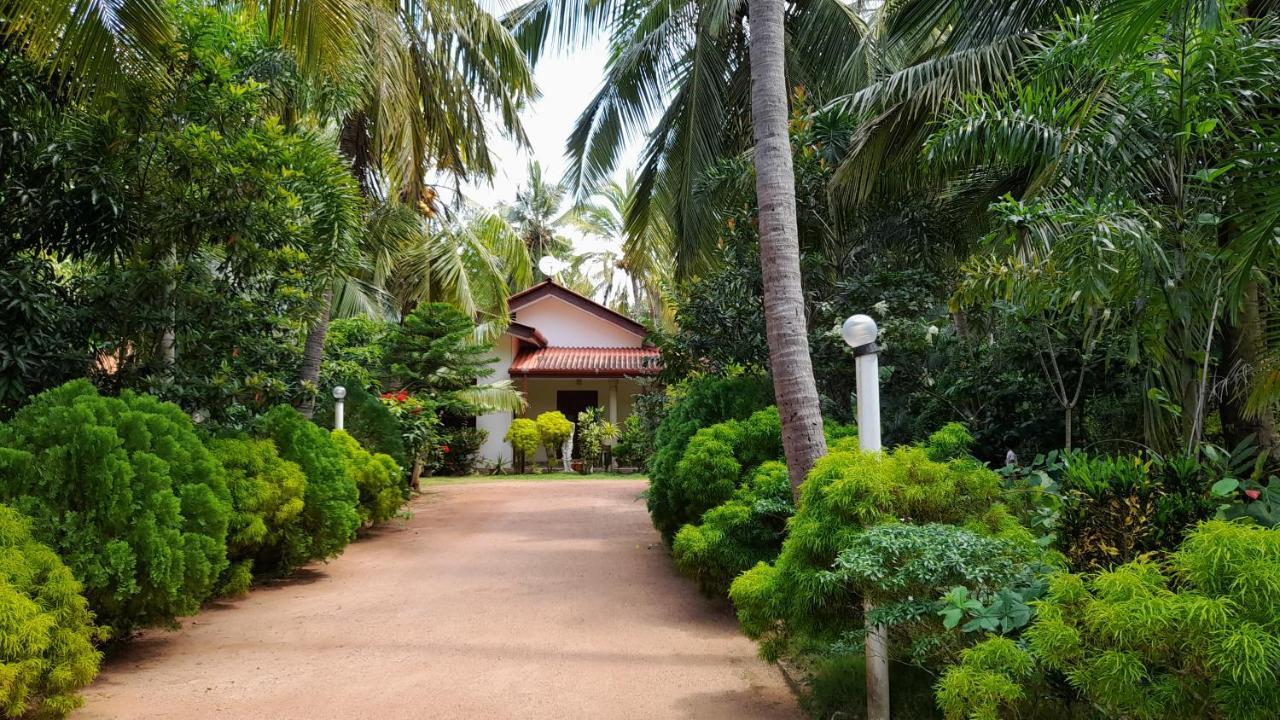 Wild View Stay Habarana Ngoại thất bức ảnh