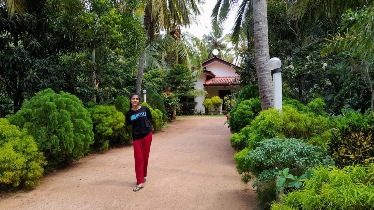 Wild View Stay Habarana Ngoại thất bức ảnh
