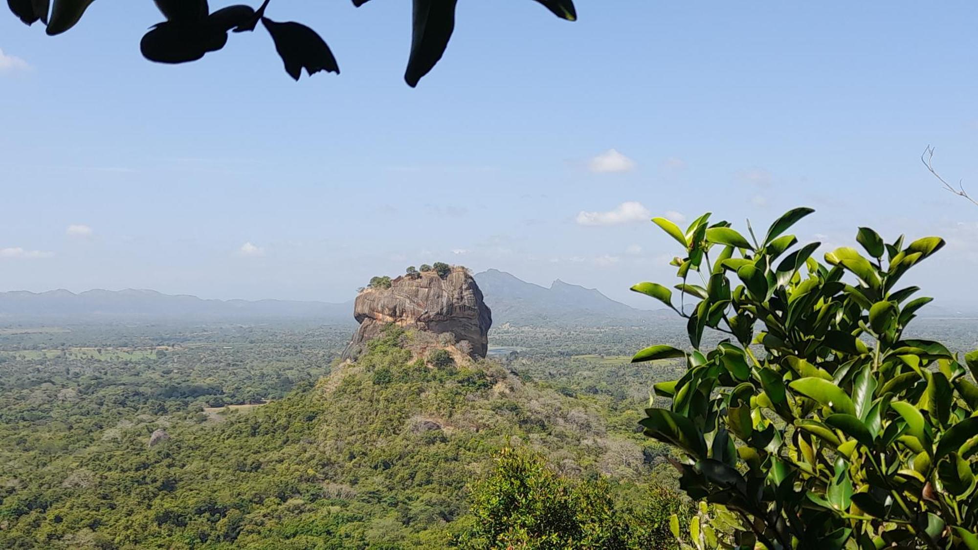 Wild View Stay Habarana Ngoại thất bức ảnh
