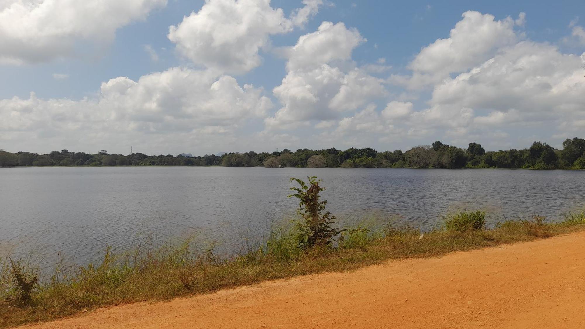 Wild View Stay Habarana Ngoại thất bức ảnh