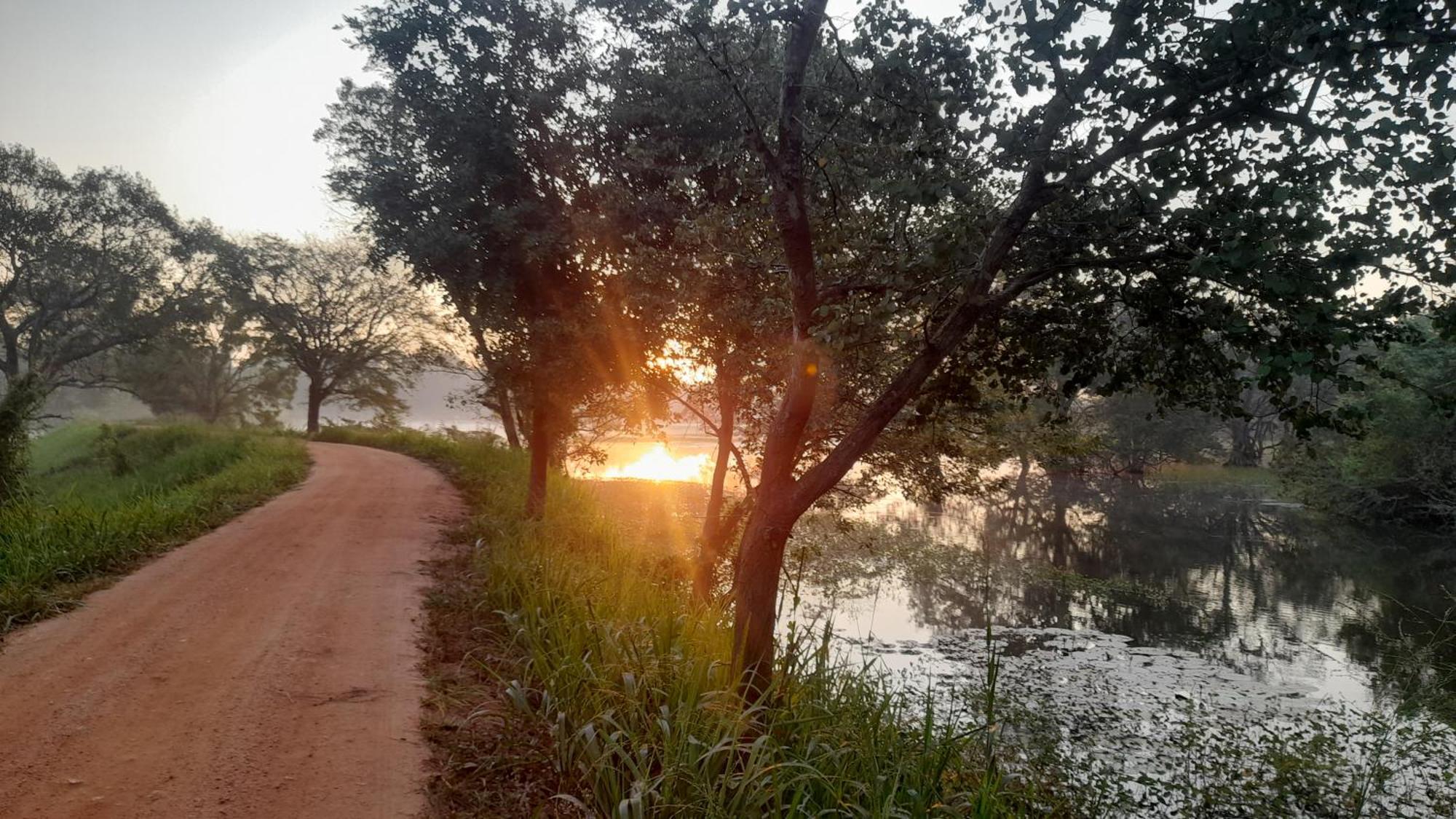 Wild View Stay Habarana Ngoại thất bức ảnh