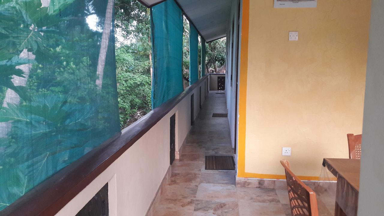 Wild View Stay Habarana Ngoại thất bức ảnh